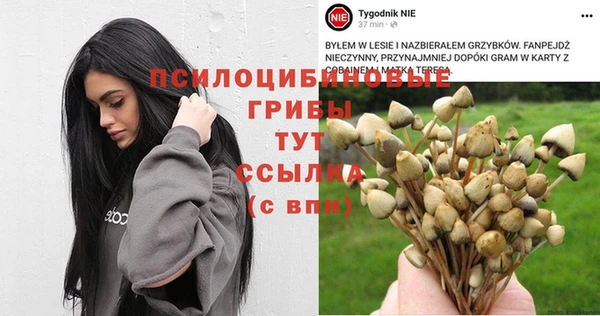 MDMA Новозыбков