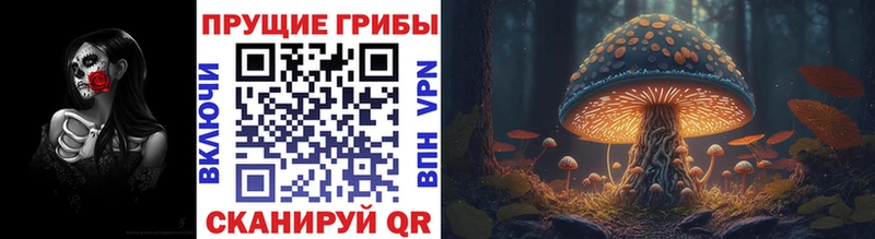 где можно купить наркотик  Ленинск  Галлюциногенные грибы GOLDEN TEACHER 