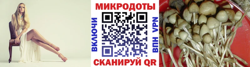 Псилоцибиновые грибы мухоморы Ленинск